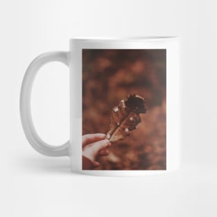 Photo of person holding brown leaf Mug